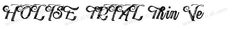 HOLISE_TRIAL Thin Ve字体转换